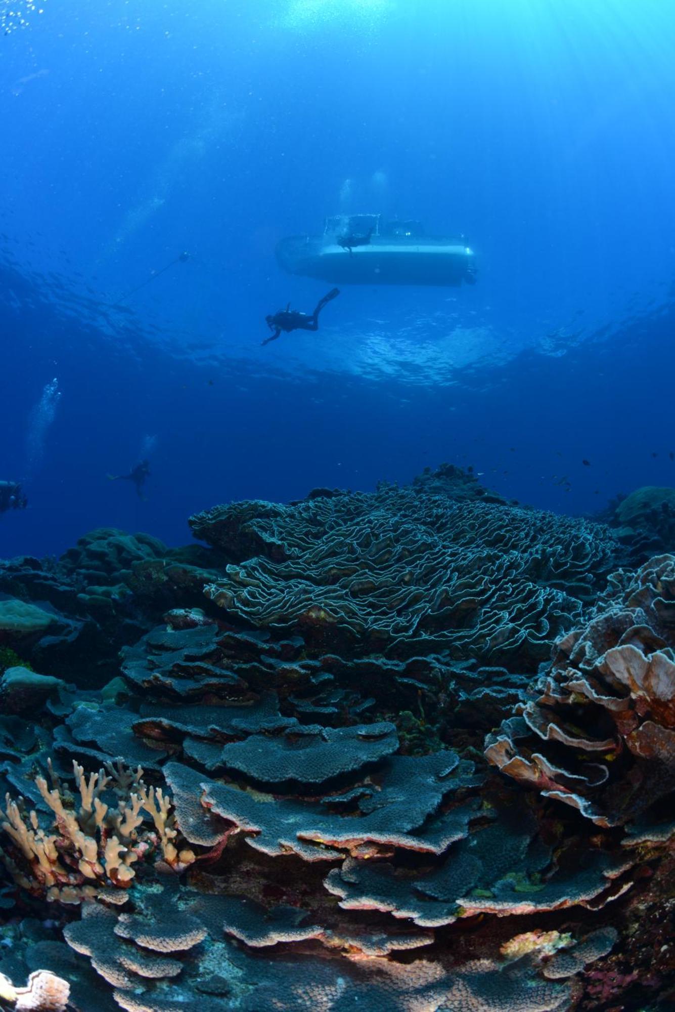 Island Hopper Hotel Yepan ภายนอก รูปภาพ
